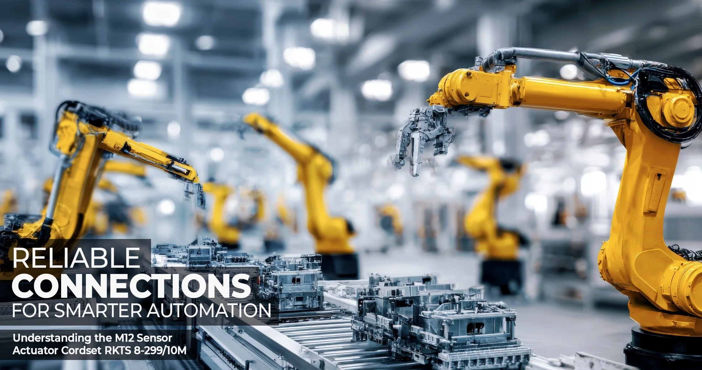 Why the M12 Sensor Actuator Cordset RKTS 8-299/10M Matters for Reliable Automation - Industrial Electrical Warehouse